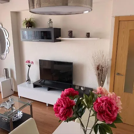 Apartment Primera Linea De Playa Paseo Maritimo Perla 5 *